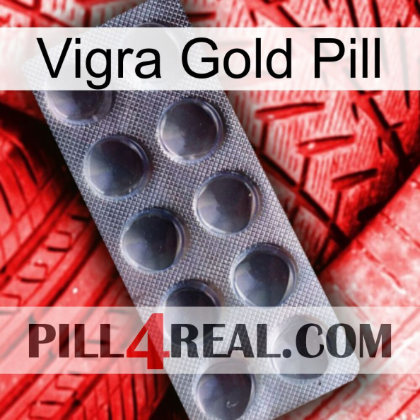 Vigra Gold Pill 30.jpg